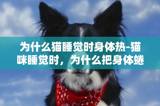 為什么貓睡覺時身體熱-貓咪睡覺時，為什么把身體蜷成團？