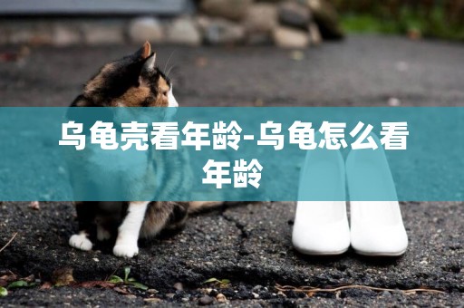 烏龜殼看年齡-烏龜怎么看年齡