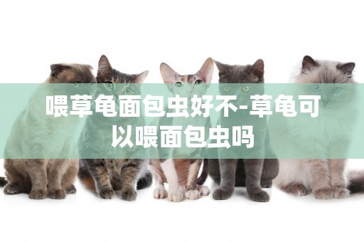 喂草龜面包蟲好不-草龜可以喂面包蟲嗎