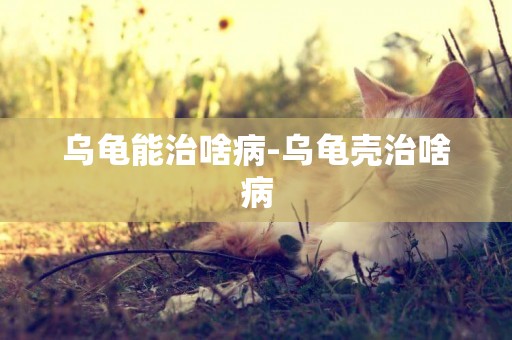 烏龜能治啥病-烏龜殼治啥病