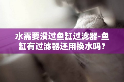 水需要沒過魚缸過濾器-魚缸有過濾器還用換水嗎？
