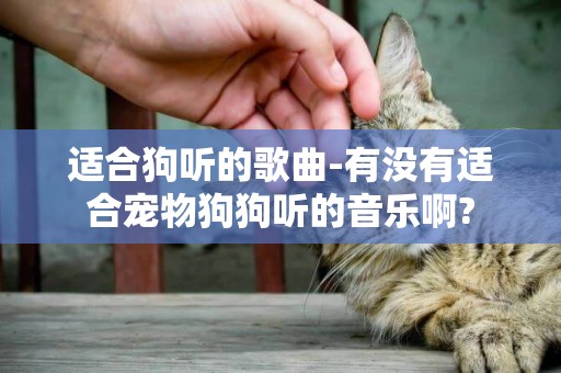 適合狗聽的歌曲-有沒有適合寵物狗狗聽的音樂啊?
