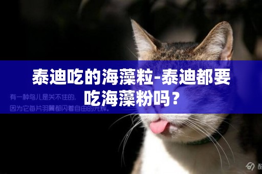 泰迪吃的海藻粒-泰迪都要吃海藻粉嗎？