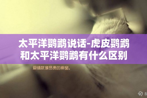 太平洋鸚鵡說話-虎皮鸚鵡和太平洋鸚鵡有什么區別