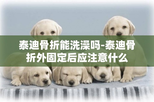 泰迪骨折能洗澡嗎-泰迪骨折外固定后應注意什么