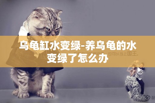 烏龜缸水變綠-養烏龜的水變綠了怎么辦