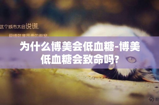 為什么博美會低血糖-博美低血糖會致命嗎?