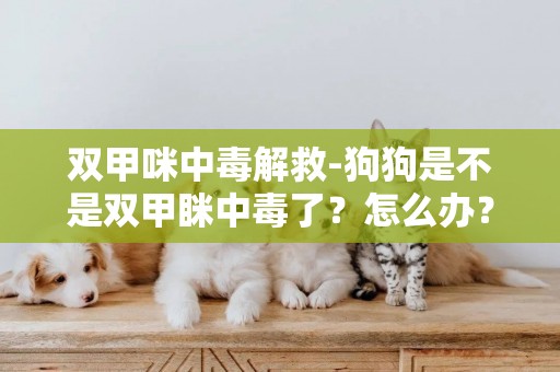 雙甲咪中毒解救-狗狗是不是雙甲瞇中毒了？怎么辦？