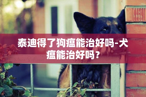 泰迪得了狗瘟能治好嗎-犬瘟能治好嗎？