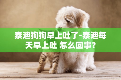 泰迪狗狗早上吐了-泰迪每天早上吐 怎么回事？