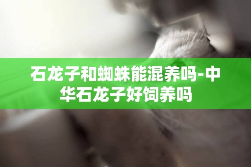石龍子和蜘蛛能混養嗎-中華石龍子好飼養嗎