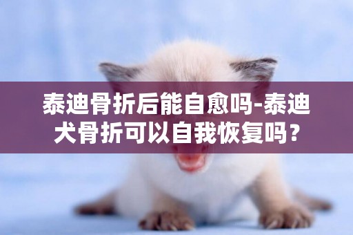 泰迪骨折后能自愈嗎-泰迪犬骨折可以自我恢復嗎？
