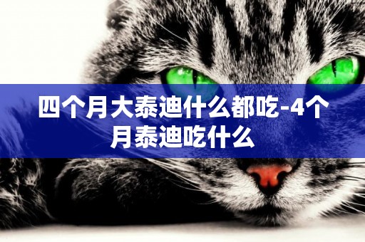 四個月大泰迪什么都吃-4個月泰迪吃什么