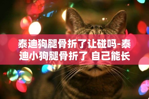 泰迪狗腿骨折了讓碰嗎-泰迪小狗腿骨折了 自己能長好嗎