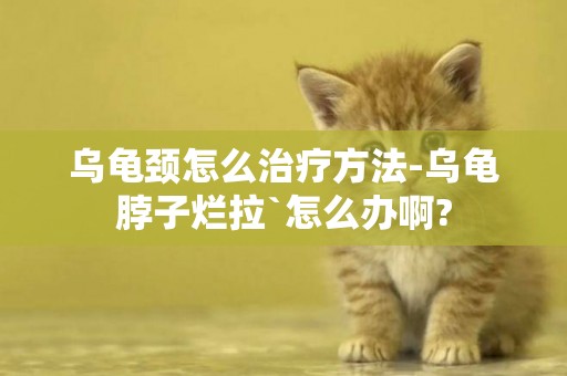 烏龜頸怎么治療方法-烏龜脖子爛拉`怎么辦啊?