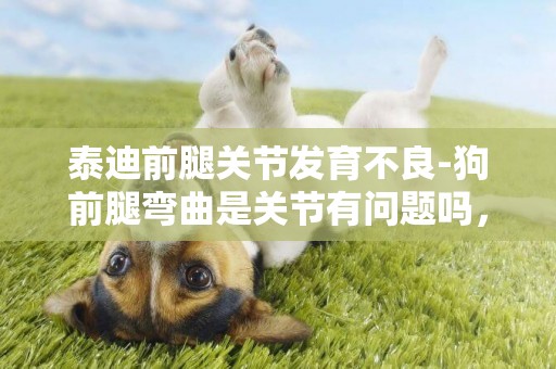 泰迪前腿關節發育不良-狗前腿彎曲是關節有問題嗎，要怎么辦