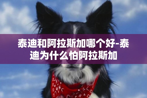 泰迪和阿拉斯加哪個好-泰迪為什么怕阿拉斯加