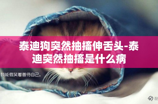 泰迪狗突然抽搐伸舌頭-泰迪突然抽搐是什么病