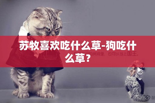 蘇牧喜歡吃什么草-狗吃什么草？