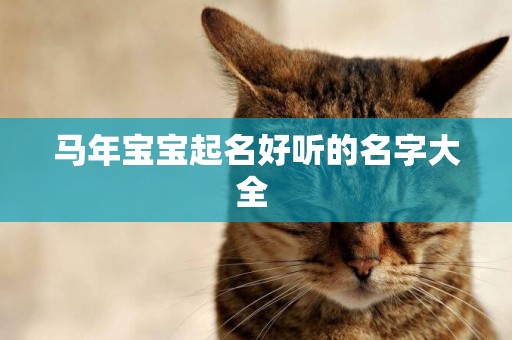 馬年寶寶起名好聽的名字大全 