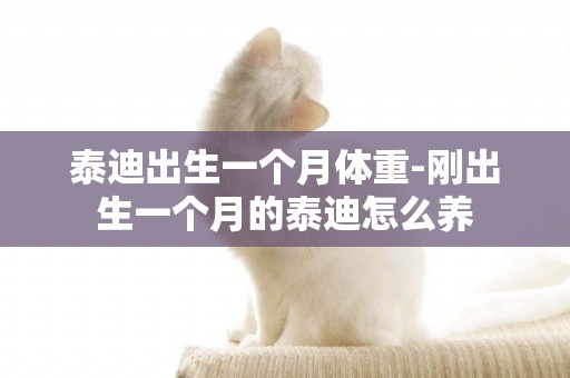 泰迪出生一個月體重-剛出生一個月的泰迪怎么養