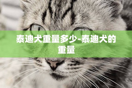 泰迪犬重量多少-泰迪犬的重量