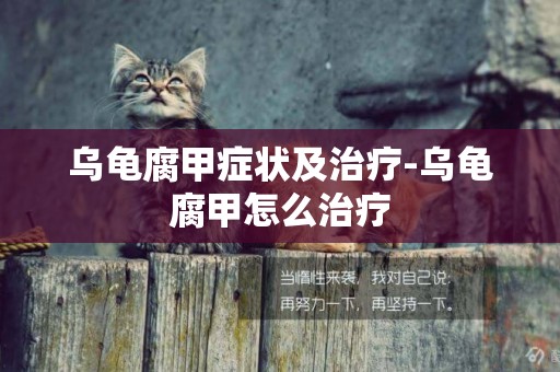 烏龜腐甲癥狀及治療-烏龜腐甲怎么治療