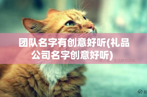 團隊名字有創意好聽(禮品公司名字創意好聽) 