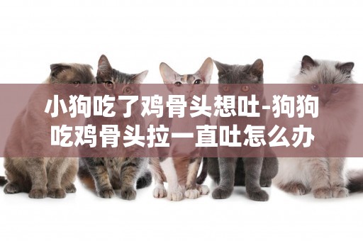 小狗吃了雞骨頭想吐-狗狗吃雞骨頭拉一直吐怎么辦