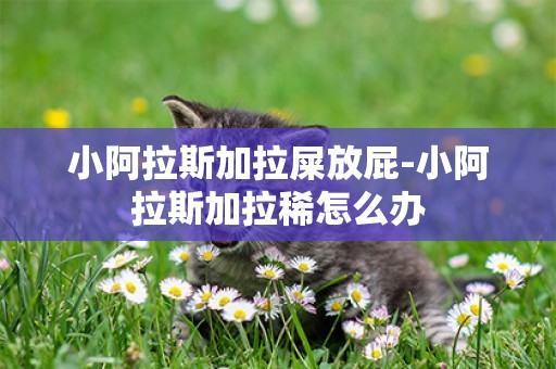 小阿拉斯加拉屎放屁-小阿拉斯加拉稀怎么辦