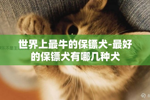 世界上最牛的保鏢犬-最好的保鏢犬有哪幾種犬