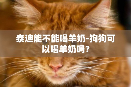 泰迪能不能喝羊奶-狗狗可以喝羊奶嗎？