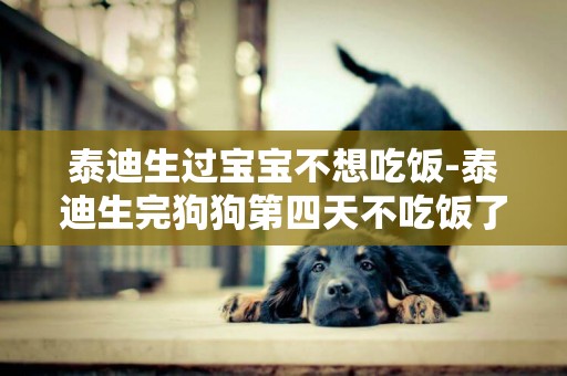 泰迪生過寶寶不想吃飯-泰迪生完狗狗第四天不吃飯了給他愛吃得都不吃 怎么辦 不吃飯就要沒奶了。小狗怎么