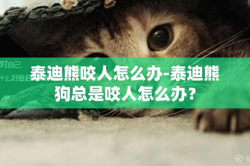 泰迪熊咬人怎么辦-泰迪熊狗總是咬人怎么辦？