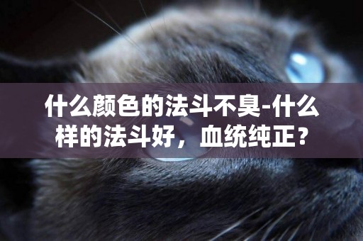 什么顏色的法斗不臭-什么樣的法斗好，血統純正？