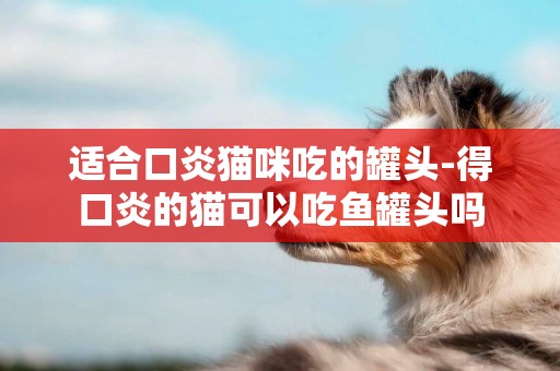 適合口炎貓咪吃的罐頭-得口炎的貓可以吃魚罐頭嗎