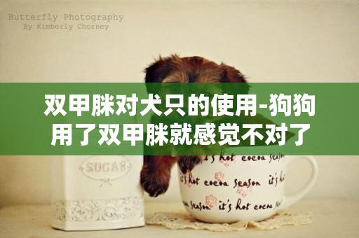 雙甲脒對犬只的使用-狗狗用了雙甲脒就感覺不對了