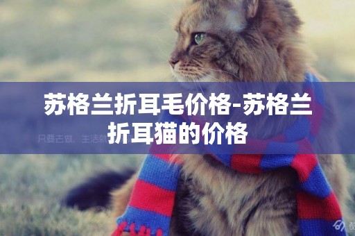 蘇格蘭折耳毛價格-蘇格蘭折耳貓的價格