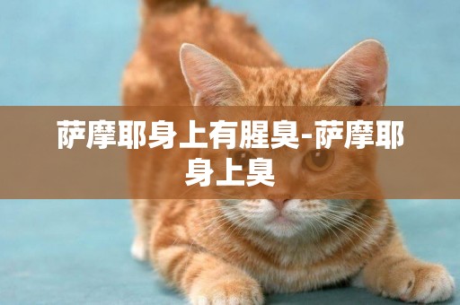 薩摩耶身上有腥臭-薩摩耶身上臭