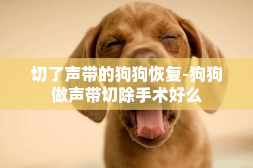 切了聲帶的狗狗恢復-狗狗做聲帶切除手術好么