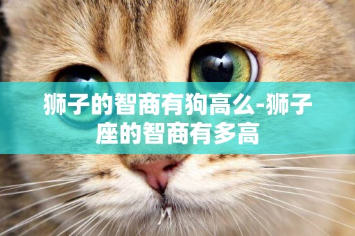 獅子的智商有狗高么-獅子座的智商有多高