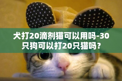 犬打20滴劑貓可以用嗎-30只狗可以打20只貓嗎？