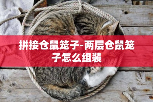 拼接倉鼠籠子-兩層倉鼠籠子怎么組裝