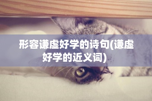 形容謙虛好學的詩句(謙虛好學的近義詞) 