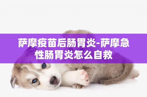 薩摩疫苗后腸胃炎-薩摩急性腸胃炎怎么自救