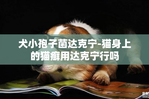 犬小孢子菌達克寧-貓身上的貓癬用達克寧行嗎