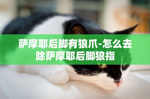 薩摩耶后腳有狼爪-怎么去除薩摩耶后腳狼指