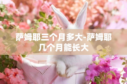 薩姆耶三個月多大-薩姆耶幾個月能長大