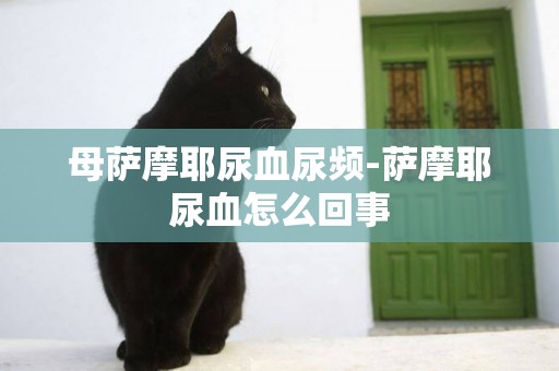 母薩摩耶尿血尿頻-薩摩耶尿血怎么回事