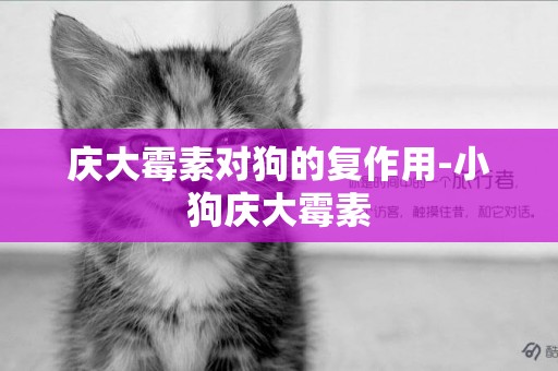 慶大霉素對狗的復作用-小狗慶大霉素